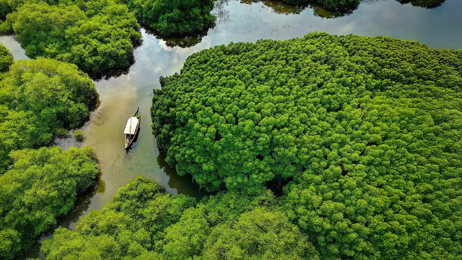 Plastic cleanup drive