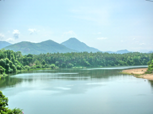 Things to in Calicut, Chaliyar river, Jellyfish watersports